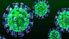 欧林生物与陆军军医大学联合开展新型冠状病毒肺炎（COVID-19）疫苗的研发